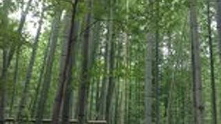 とにかく混んでいる！