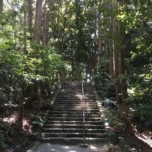 自然の息吹きを感じる