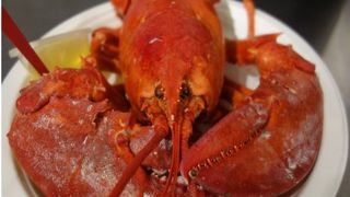 最近は観光客も増えてますね