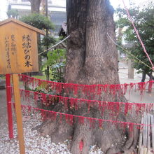 シングルの方は良縁も祈願しましょうね(-_-;)。