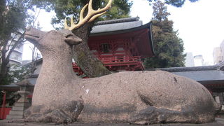 名古屋にも春日神社があります