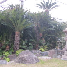 こちらは立派な風情ですね！