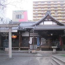 という訳で、本堂の写真も七寺と重複します、長福寺だけに？