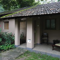 自然がいっぱい！