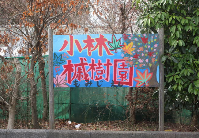 小林もみじ園 クチコミ アクセス 営業時間 川口 戸田 蕨 フォートラベル