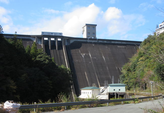 豊川用水への水源確保のためのダム、近隣の大島ダムと共に多目的ダムでは無いので満水位の姿が望める場合もあります