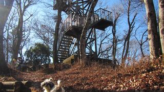 犬も登った仏果山（標高747ｍ）