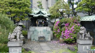 こんなところに