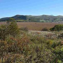 蓼科山もすこし見えます。