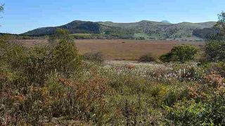 季節によってかなり違う。