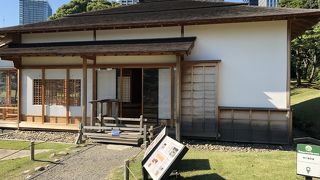 中が公開されていました