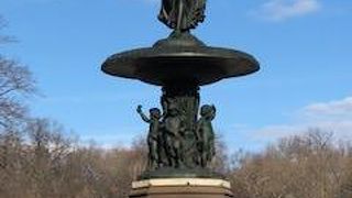 都会の中のアオシス？