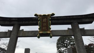 清々しく、力強い応援を感じます