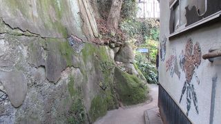 ネコが歩くのにはちょうど良い、細い路地です。