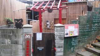 猫の細道の中間辺りにありました。