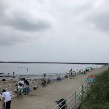 潮干狩り By Forestravel ふなばし三番瀬海浜公園 ふなばし三番瀬環境学習館のクチコミ フォートラベル 潮干狩り By Forestravel ふなばし三番瀬海浜公園 ふなばし三番瀬環境学習館のクチコミ フォートラベル