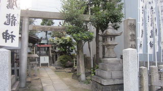 小さな本殿上に猫が二匹憩っていてびっくり！