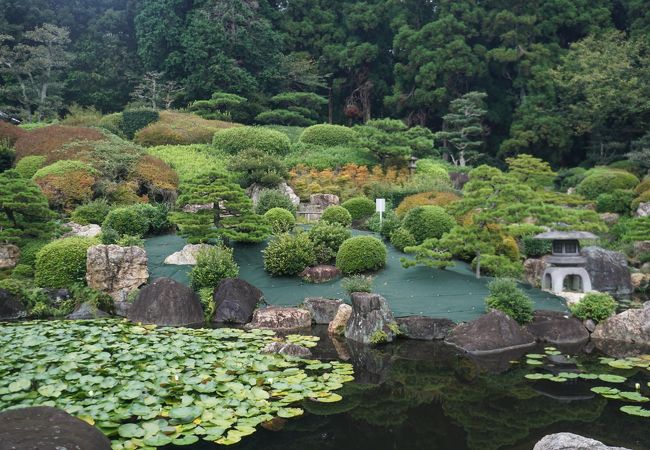 西明寺庭園 クチコミ・アクセス・営業時間｜豊川【フォートラベル】