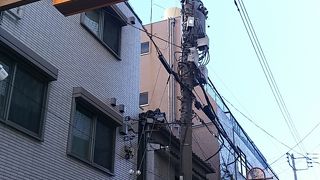 松の内なので営業しているお店が少なくて残念でした(^^;