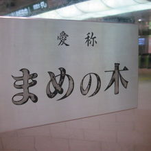 まめの木、というのは愛称のようですね。