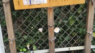 昔の町名だそうです。