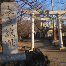 城跡兼神社といった風情の入口の様子