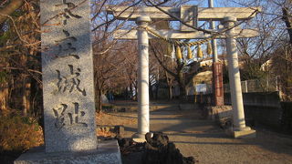 大欅は必見です！！！