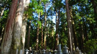 神秘性を感じながら歩きました