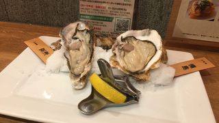 牡蠣と串揚げを飲み放題で！