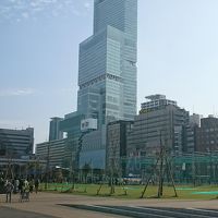 近くでは見上げられない高さ。