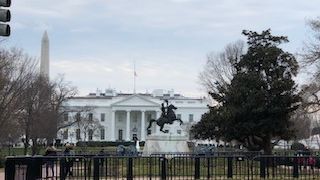 ツリーがきれいだった