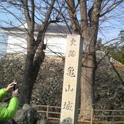 石垣と櫓の他にも井戸跡や神社など見どころあり