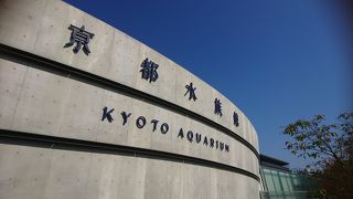 ペンギンスカイウォーク