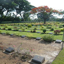 整然とした墓石が配置されていて、手前が、工事中の区画です。