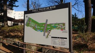 大人も楽しめるアスレチックコース