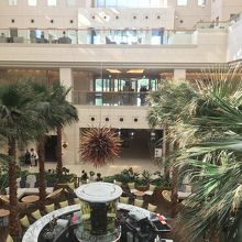 上から見下ろした外観