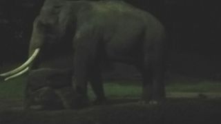 トレイル（遊歩道）探索もぜひ！