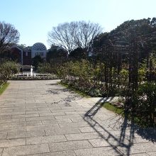 こっちもこっちで枯れまくりぃ By スーパーこひつじ 港の見える丘公園 沈床花壇のクチコミ フォートラベル こっちもこっちで枯れまくりぃ By スーパーこひつじ 港の見える丘公園 沈床花壇のクチコミ フォートラベル