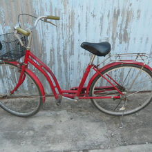 貸自転車は、安心かもしれませんが、暑い中、大変かもしれません