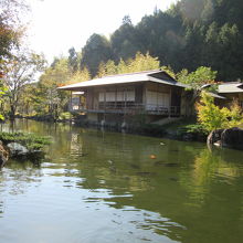趣のある美しい日本庭園と茶室もあります