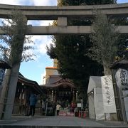 目黒のお酉さまと呼ばれ親しまれる大鳥神社で初詣