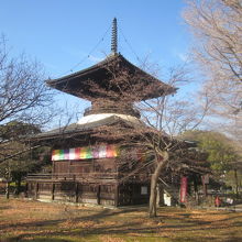 青空をバックに、とても端麗なお姿を見せて下さいました