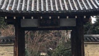 お庭が素敵なのですが