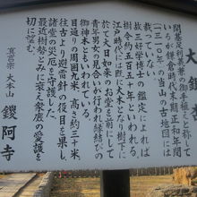 大銀杏は登録がないようなので、ここで解説板だけでも…。