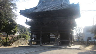 参道からも威風堂々とした姿を眺められます