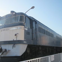 足利ではこの子に会いましょうね！