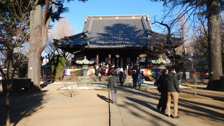 寛永寺根本中堂に初もうで