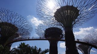 遠景もいいし近くで見ても楽しい。次も絶対行きます