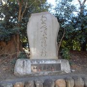 三芳野神社の境内に碑が建っていました