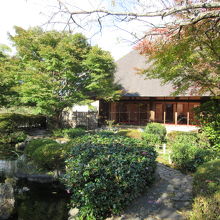 を日本庭園が望める茶室でお茶が飲めます